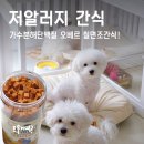 오베르 | 강아지수제간식 고민 끝! 가수분해단백질 오베르 칠면조간식 후기