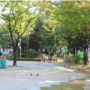 항동체육공원