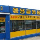 용용골동품 네이버블로그