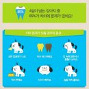 닥터 아이펫 동물병원 이미지