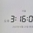 미스터비니