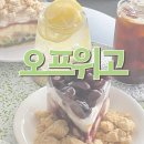 대전역 근처 글루텐프리 카페 오프위고 내돈내산 후기