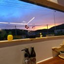 알럽에스제이 이미지