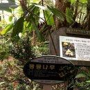 서귀포자연휴양림 이미지
