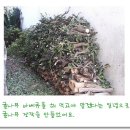 반디농장 이미지