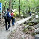 향로봉길 이미지