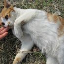 수리야 놀자 이미지