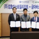 금아여행사