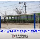 금성타포린