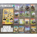 청강전통문화학교 | 세계 문화 배우기 퍼즐 전통의상 전통가옥만들기 3D입체퍼즐 나라 카드 교구