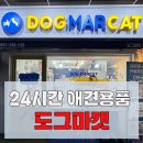 내손탁구장 | 의왕 내손동 24시간 반려동물 용품점 도그마캣 방문 후기