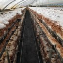 역귀농장 이미지