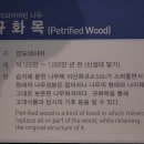 통영수산과학관