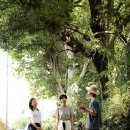 농촌체험코스(남부) 이미지