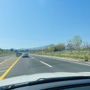 해녀잠수촌 | 제주도 바다횟집 필수방문코스 해녀잠수촌 제주도 회 포장