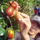 천상 농장 이미지