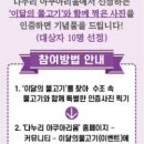 단양 무지개 오토캠핑장 이미지