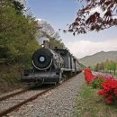 레일바이크공원강변 이미지