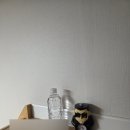 흑곰 | 내돈내산) 짱구 흑곰 알람시계 구매 및 사용 후기 (알람소리 안큰 알람시계 추천)