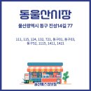 01-115 동구 이미지