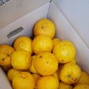 세신농장 이미지