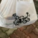 11500-19-27-108 이미지