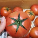 수환농장 이미지