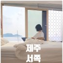 백패커스빌라제주 | 제주 서쪽 숙소 제주도오션뷰 펜션 백패커스빌라펜션 후기