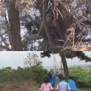 김재윤농장 이미지