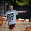 아들딸농장 이미지