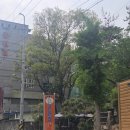 공원집 | 부산 야장맛집 공원집 계곡과 함께 즐기는 오리불고기 힐링 후기