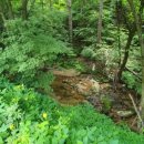 섬강공인중개사사무소 이미지