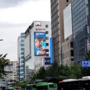 피카소광고 이미지