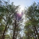 평장보건진료소 이미지