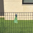 모모의주방 | 가평 모모애견풀빌라 내돈내산 후기