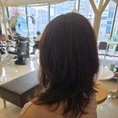 찬헤어크리닉