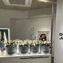 남산플라워 이미지