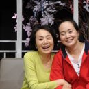 성병숙 카카오 검색결과