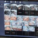 한우번식축산 이미지