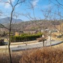 세종동_전월산 무궁화 테마공원 이미지