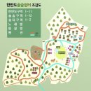 한반도솔숲쉼터 이미지