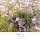 야외웨딩 리얼후기 영화같은 하루. 홍성 에덴힐스웨딩 Part 2. 웨딩아치 : 힐링아치