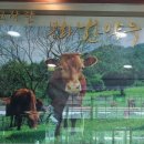 안동봉화축산업협동조합 봉화한약우프라자 이미지