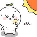 월곶위너스 이미지