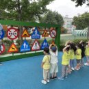 어린이교통랜드 이미지