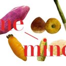 구황작물 이미지