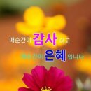 강하주유소 이미지