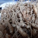 교산농장 이미지