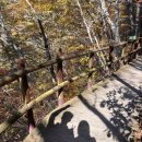 청솔농장3 | 주왕산 단풍 트레킹 (대전사-용추폭포-용연폭포)