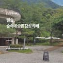 카페숲